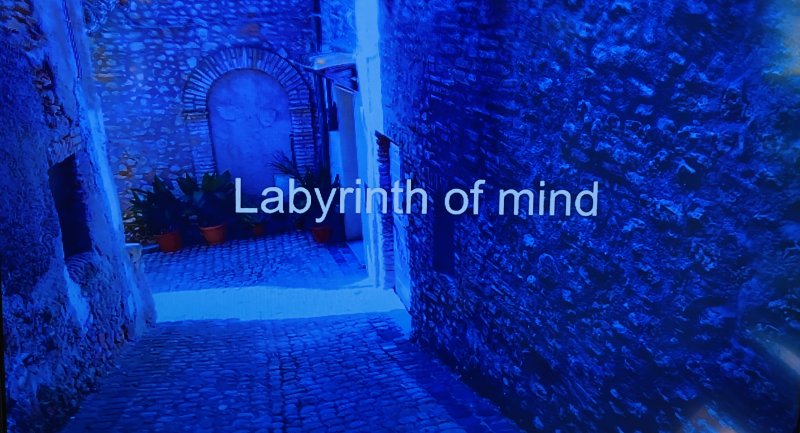 Labyrinth of Mind (Labyrinth der Gedanken)