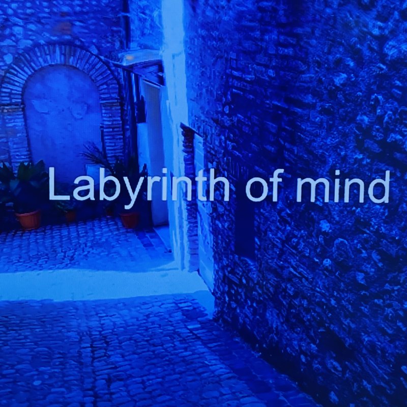 Labyrinth of Mind (Labyrinth der Gedanken)